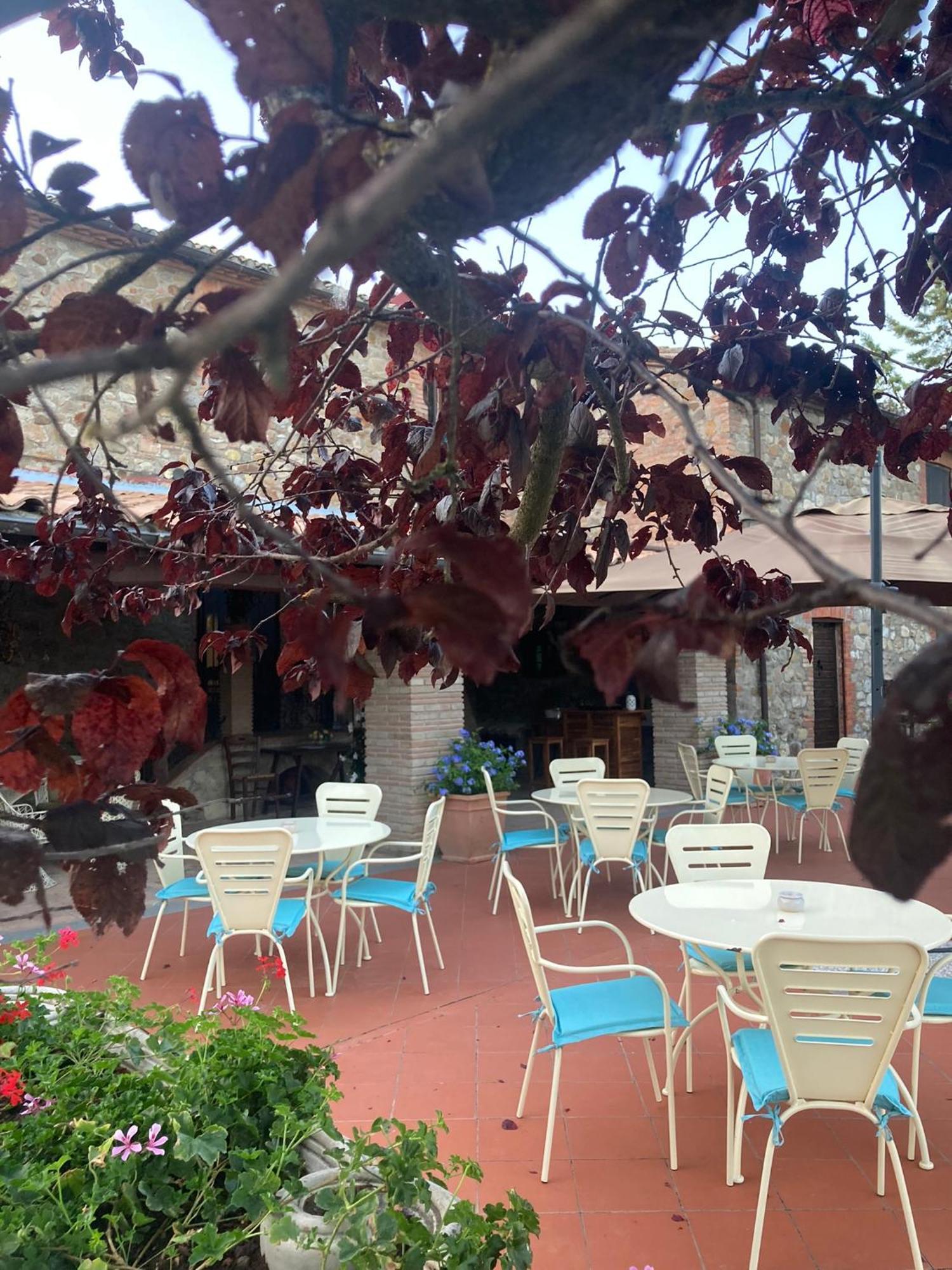 Country House La Collina Di Bargiano - Casa Raffaella Allerona Εξωτερικό φωτογραφία