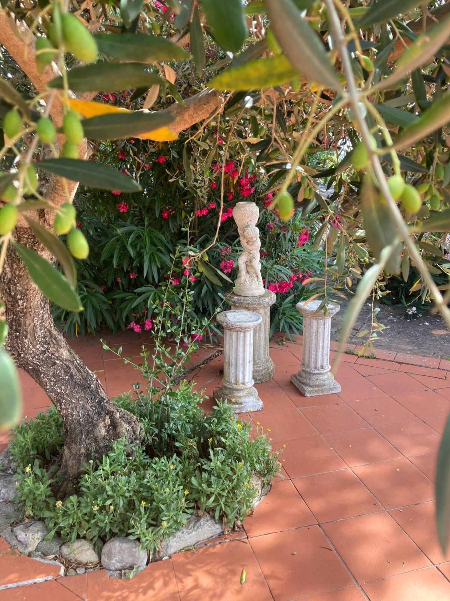 Country House La Collina Di Bargiano - Casa Raffaella Allerona Εξωτερικό φωτογραφία
