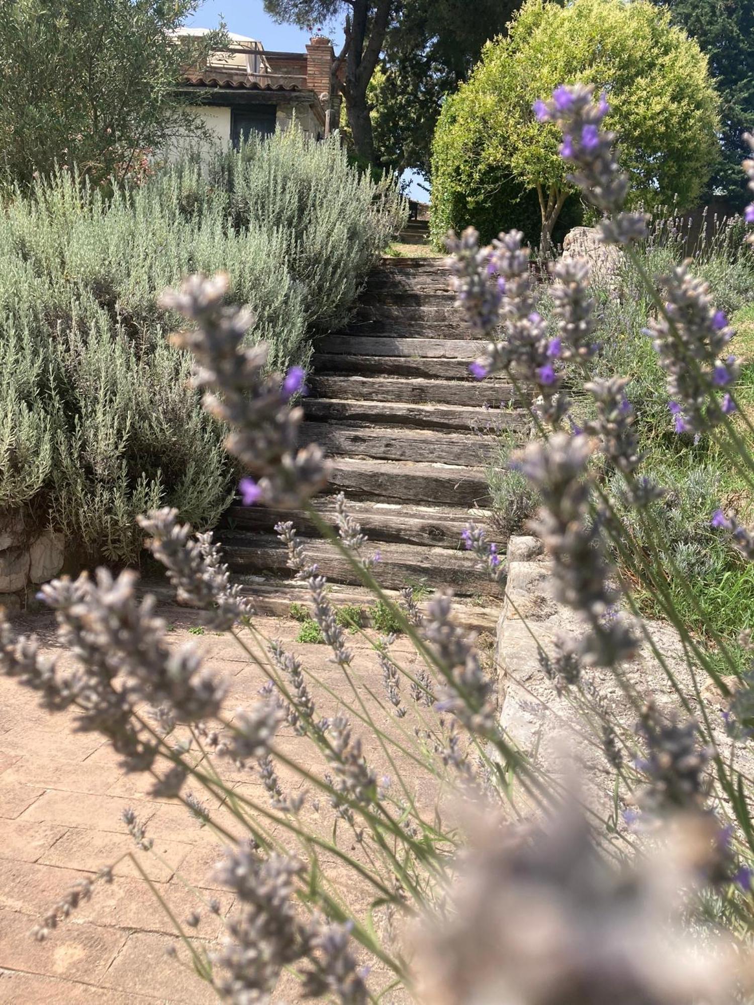 Country House La Collina Di Bargiano - Casa Raffaella Allerona Εξωτερικό φωτογραφία